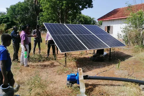 Orchards in Sri Lanka are 