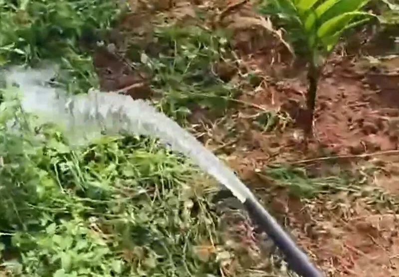 When tropical sunlight meets cutting-edge technology