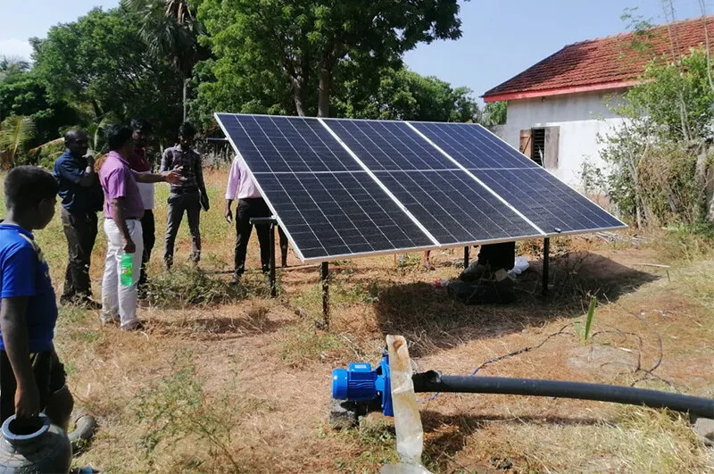 Orchards in Sri Lanka are 