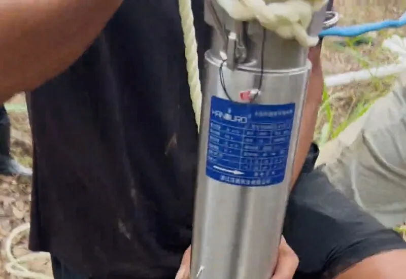 On-site voice from Guangxi: A perfect collaboration in the installation of a single water pump