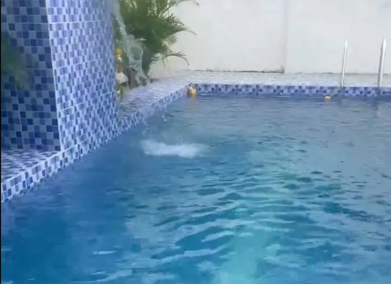 500W Solar Home Swimming Pool Pump - Real Feedback from Filipino Customers