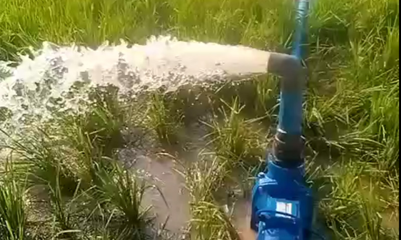 pumps help Nigerian farms harvest